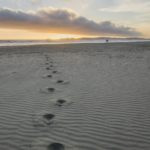 Mirar lo andado para ponerse en camino: reflexión comunitaria para cerrar el trienio