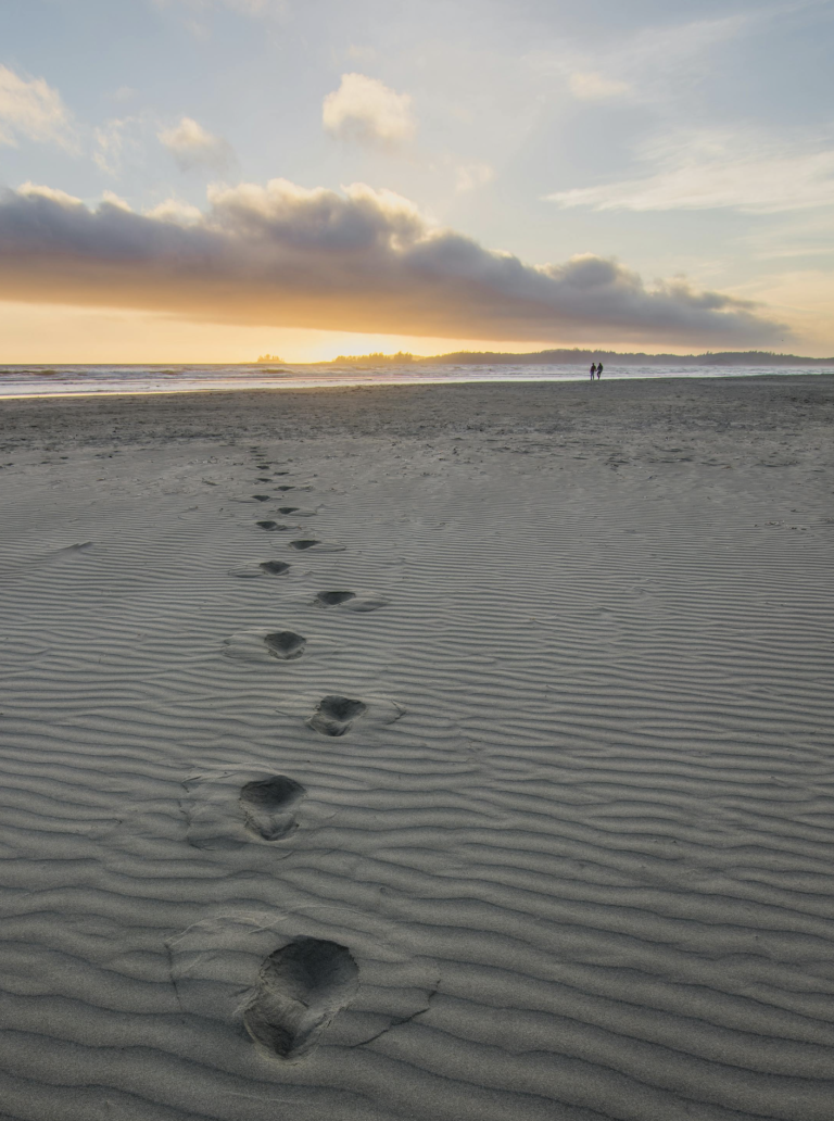 Mirar lo andado para ponerse en camino: reflexión comunitaria para cerrar el trienio