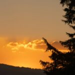 EDITORIAL Navidad 2025: Mirando más allá…