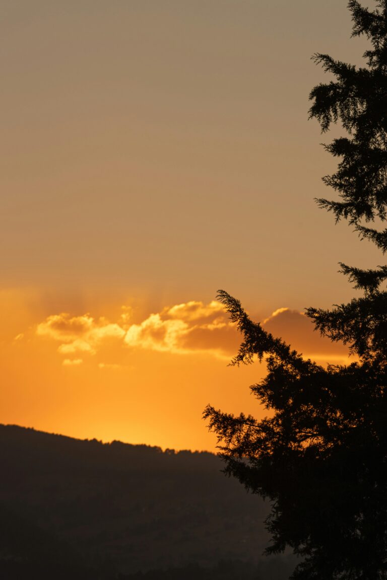 EDITORIAL Navidad 2025: Mirando más allá…